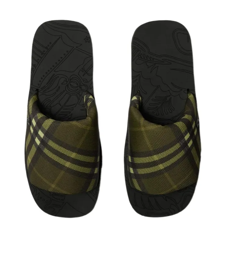 Check Trek Slides