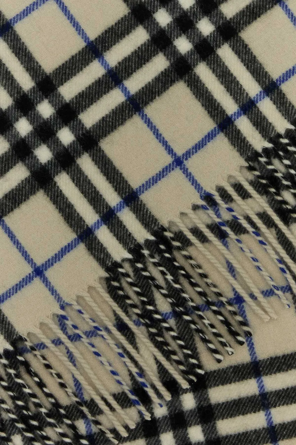 Checked Fringed Scarf