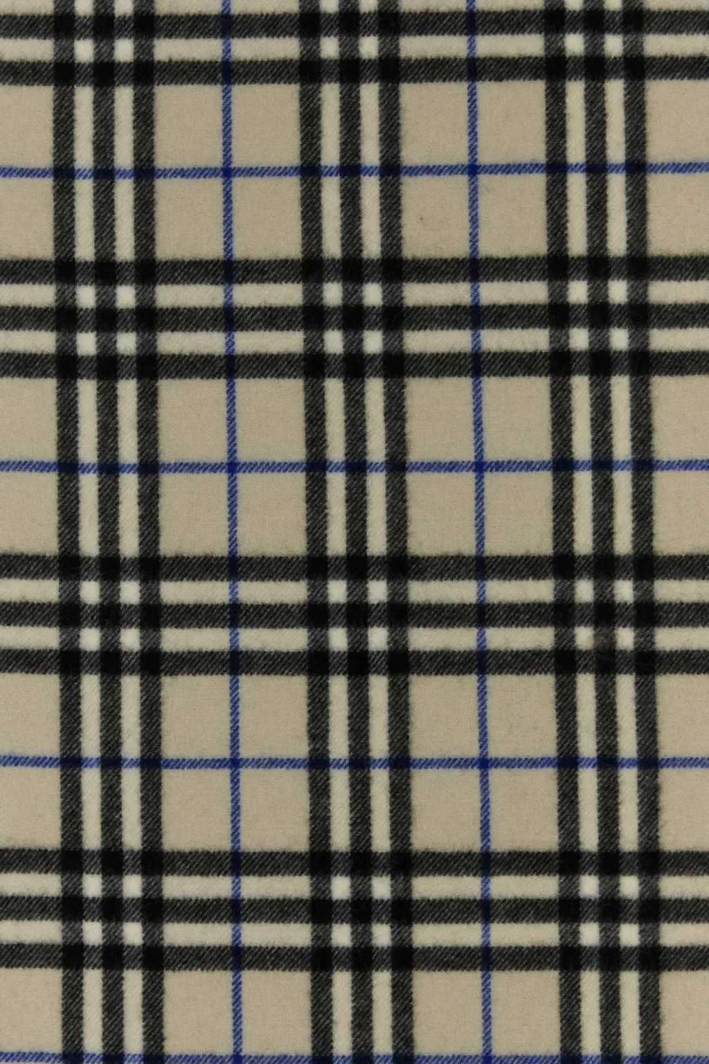 Checked Fringed Scarf