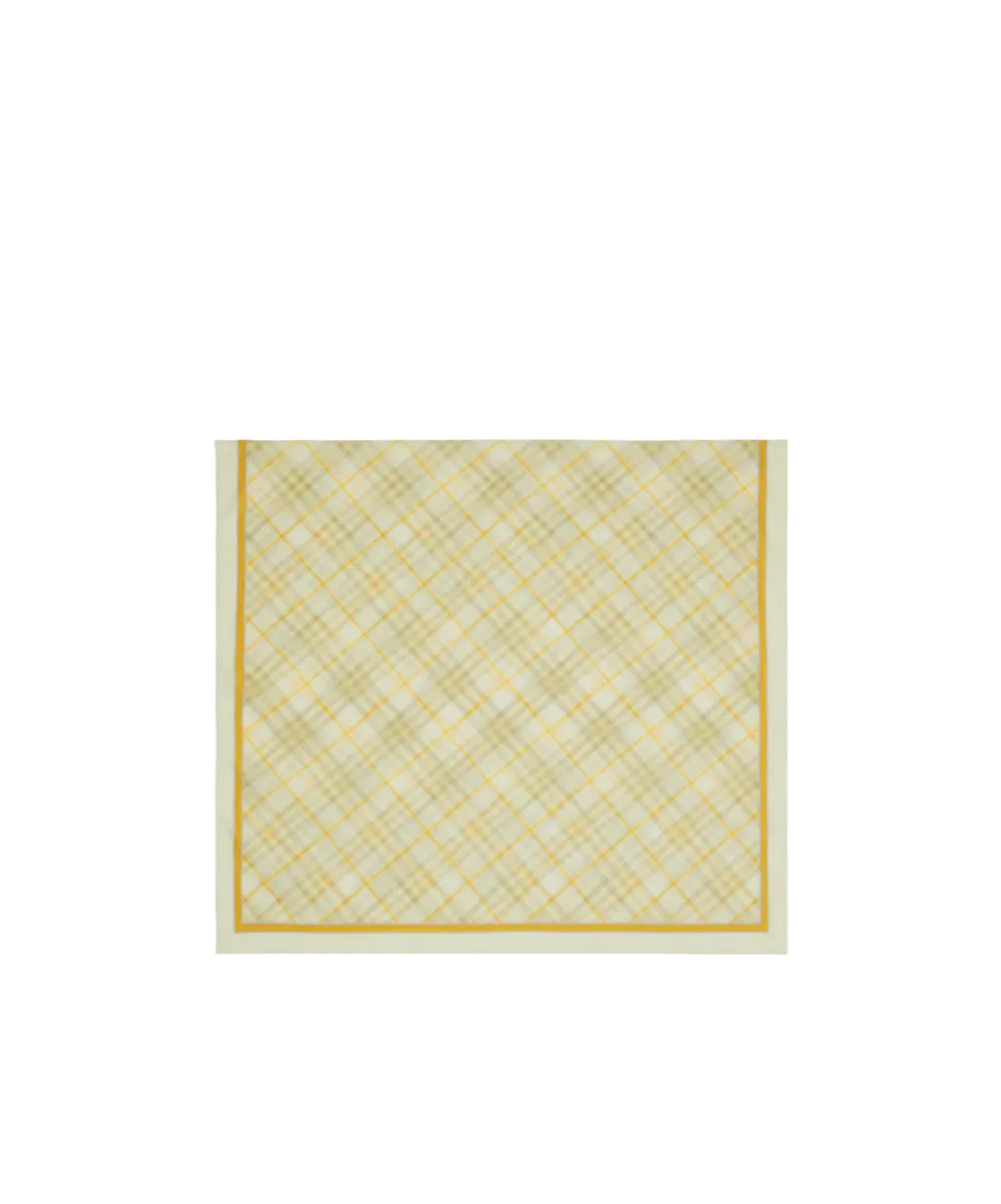 Checked Striped Border Scarf