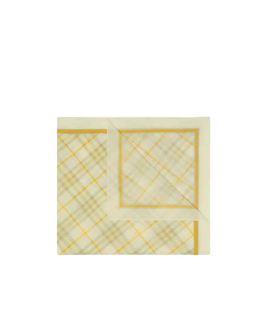 Checked Striped Border Scarf