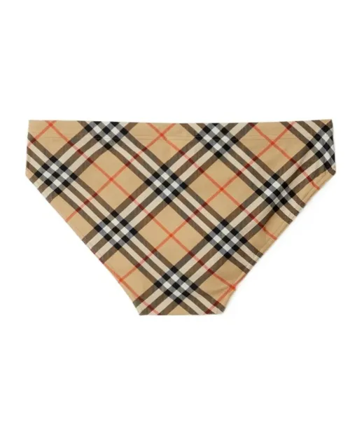 Checked Drawstring Swim Shorts