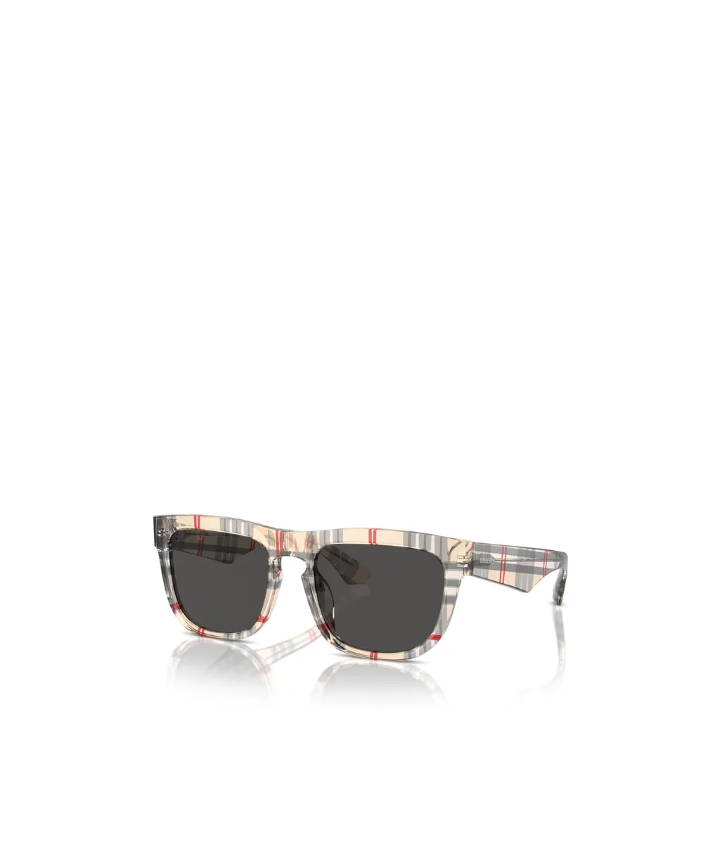 Square Frame Sunglasses