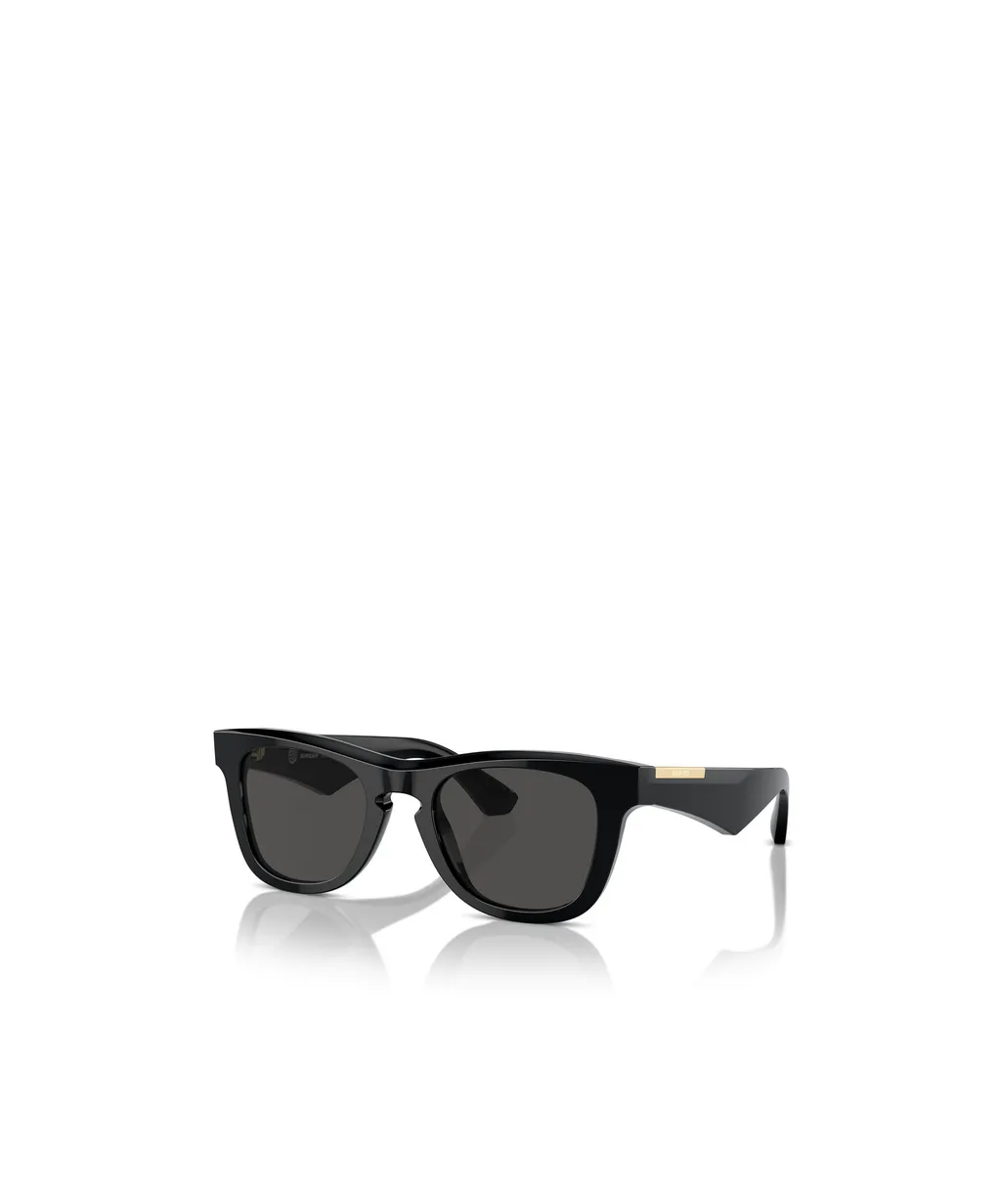 Square Frame Sunglasses