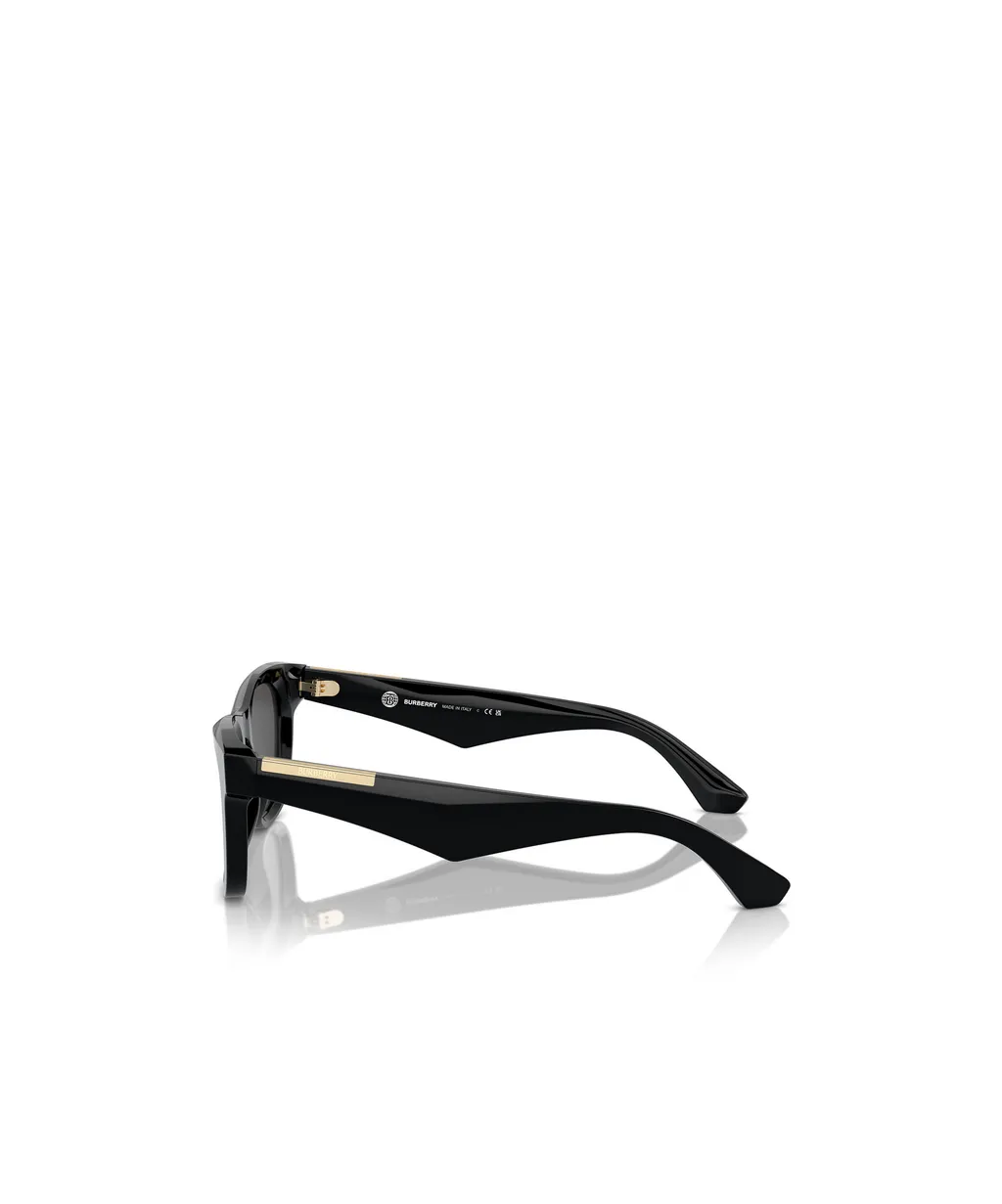 Square Frame Sunglasses