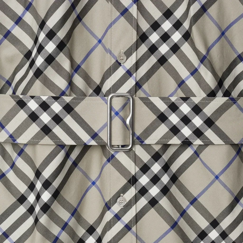 Checked Belted Waist Trench Coat