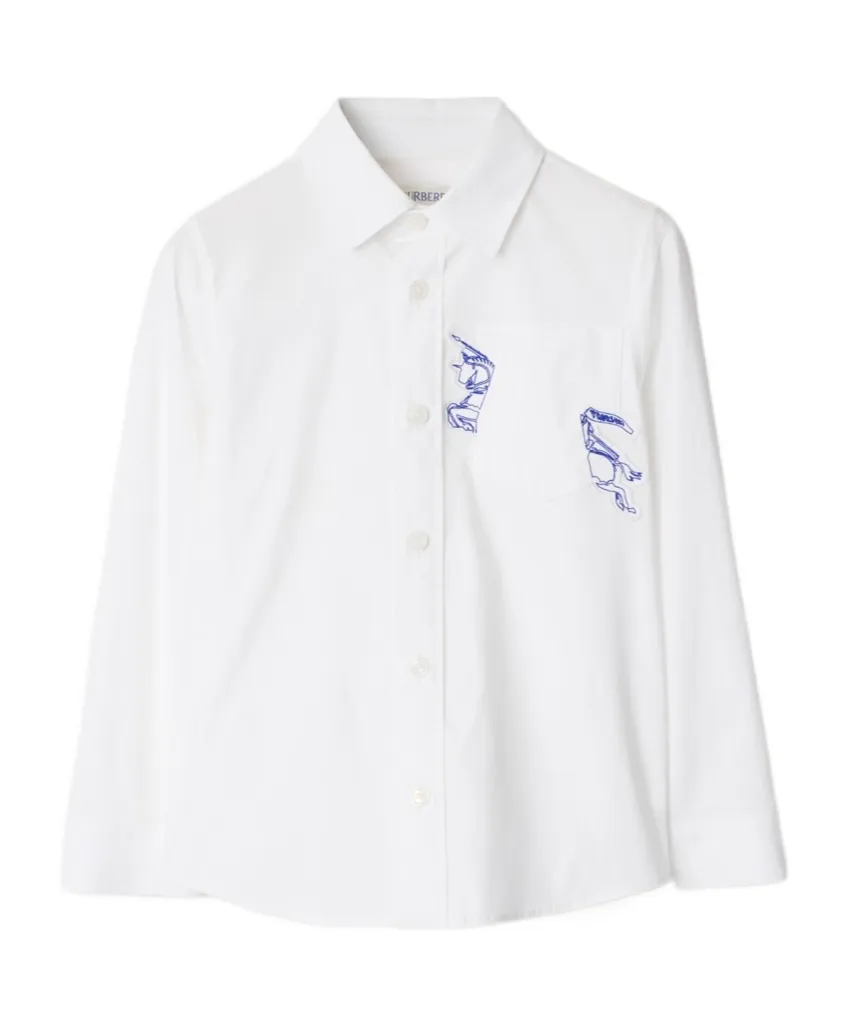 Embroidered Button-Up Shirt