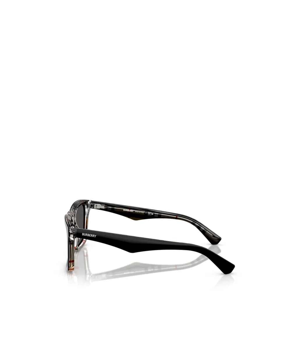 Square Frame Sunglasses