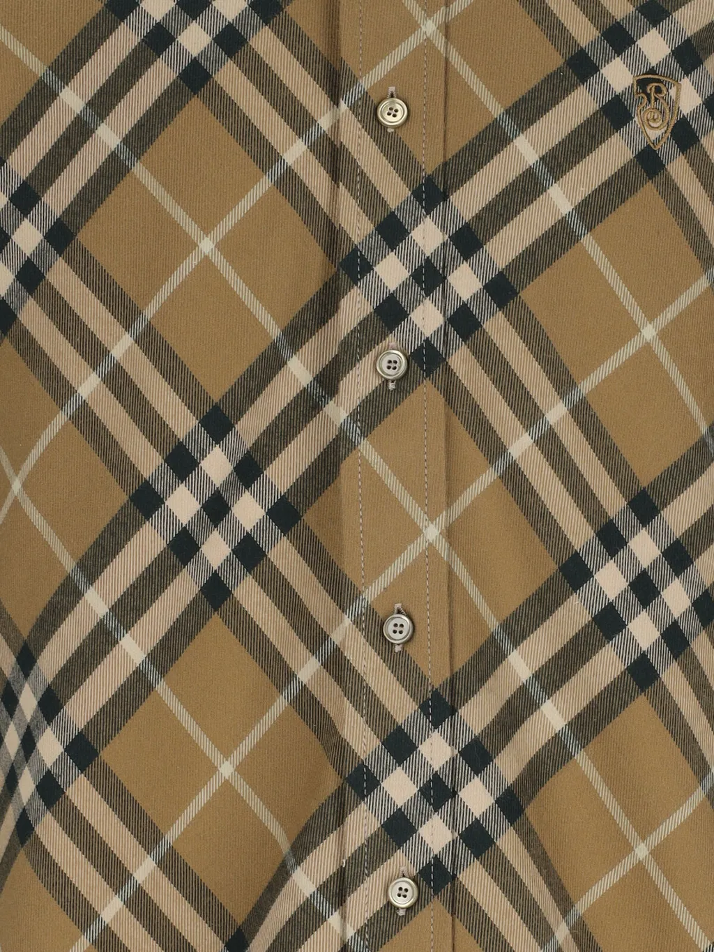 Checked Long-Sleeved Shirt