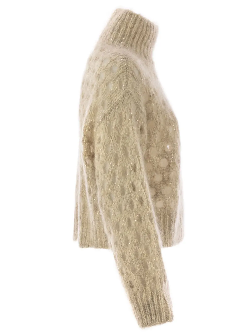 Dazzling Net Turtleneck Jumper