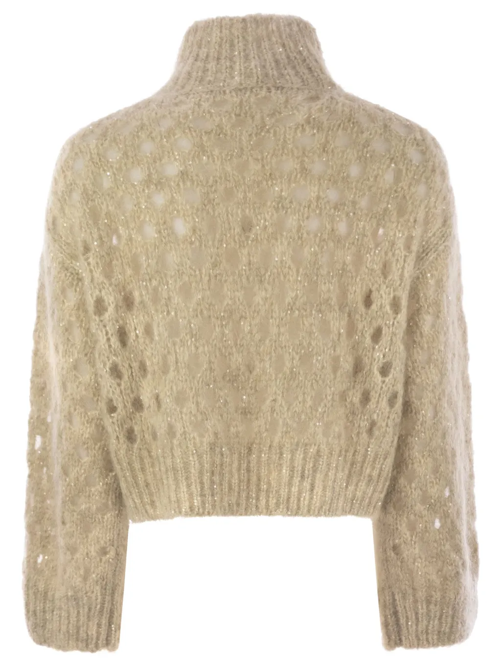 Dazzling Net Turtleneck Jumper