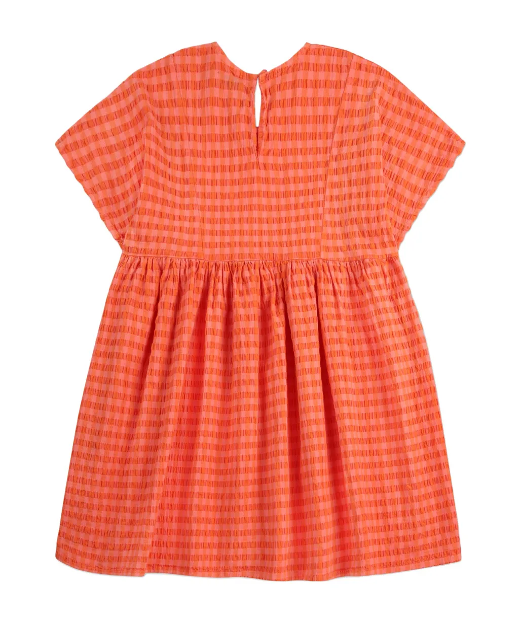 Vichy Dress