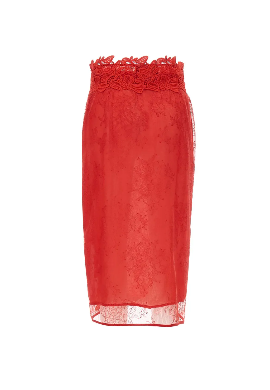 Floral Embroidered Lace Midi Skirt