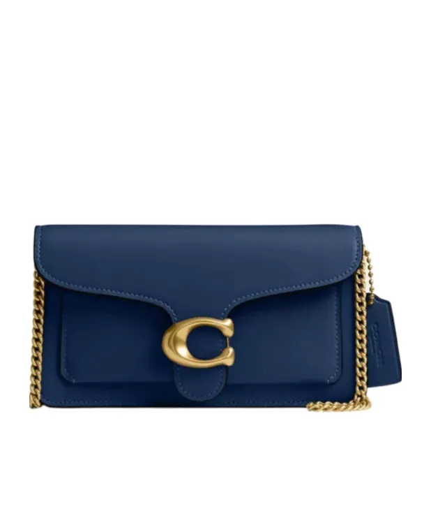 Tabby Chain Clutch