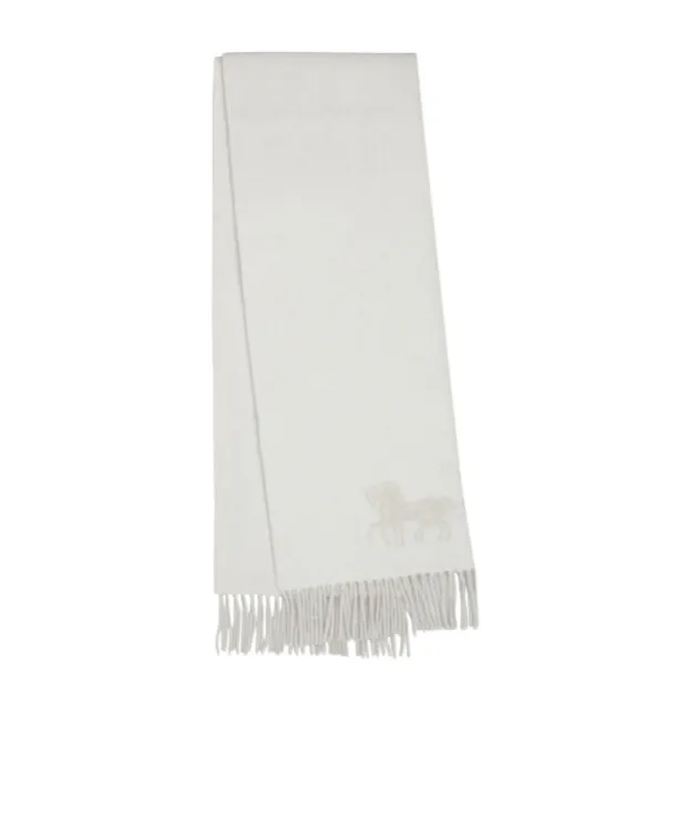 Fringed Scarf
