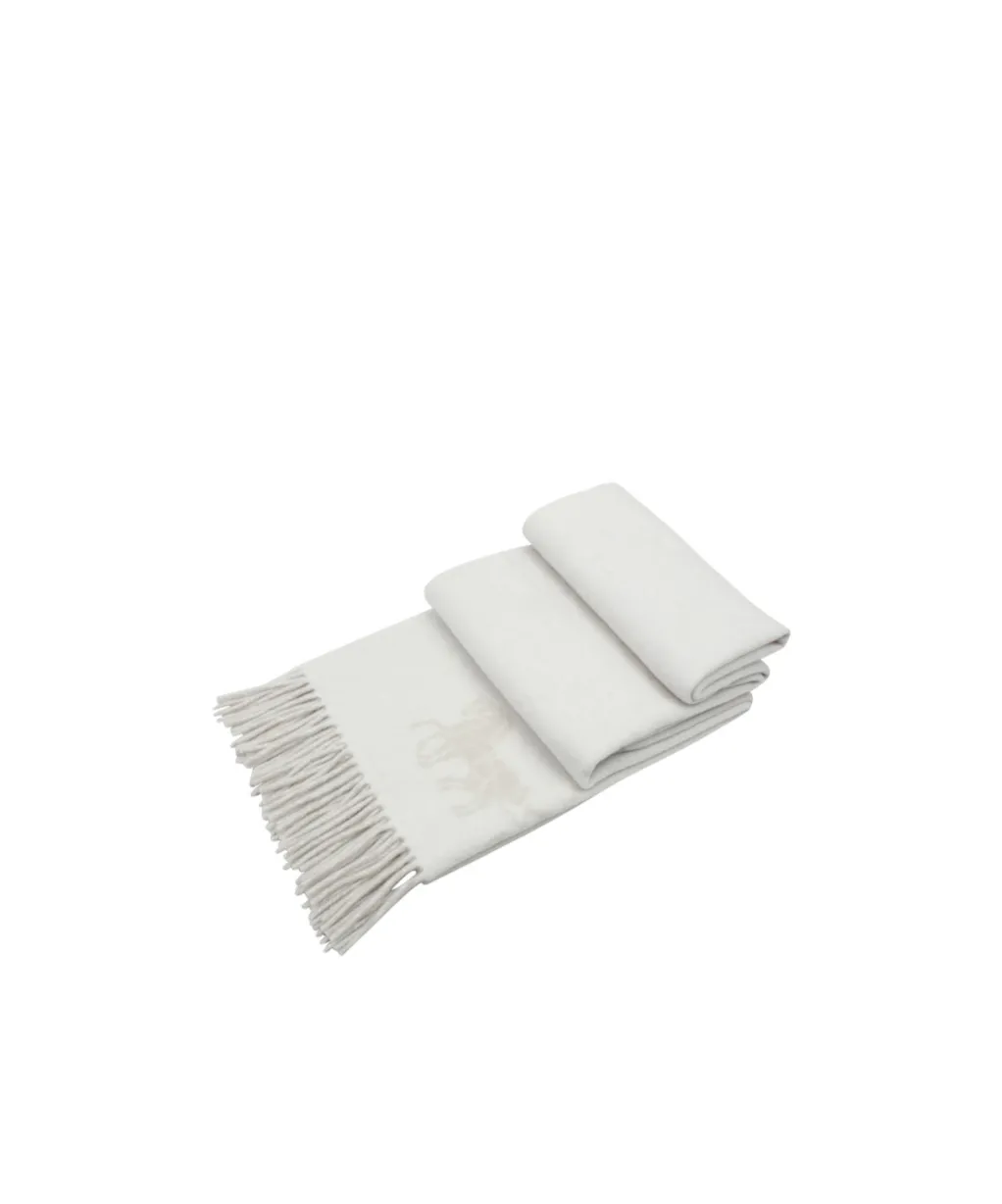 Fringed Scarf
