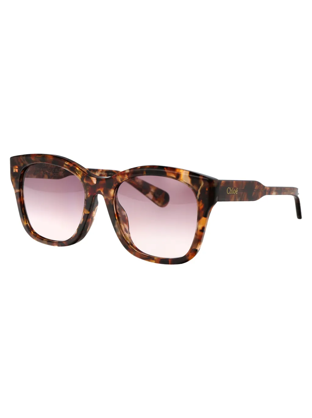 Square Frame Sunglasses