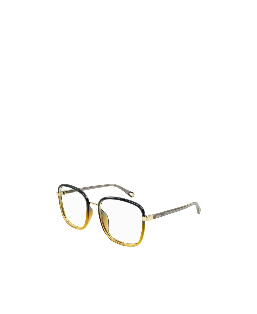 Square Frame Glasses