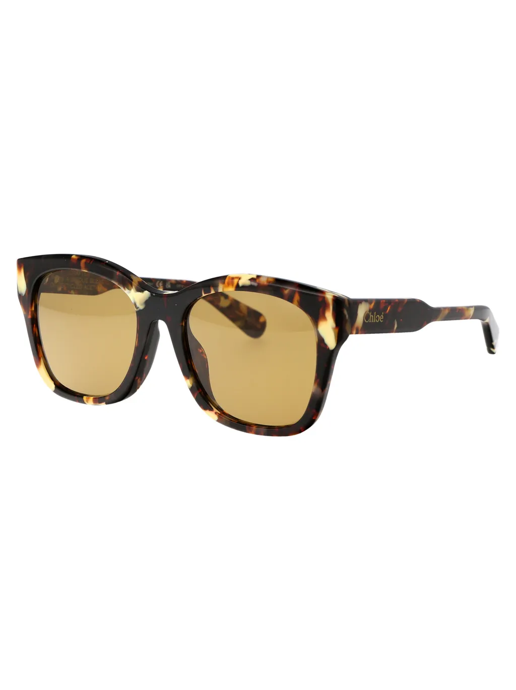 Square Frame Sunglasses