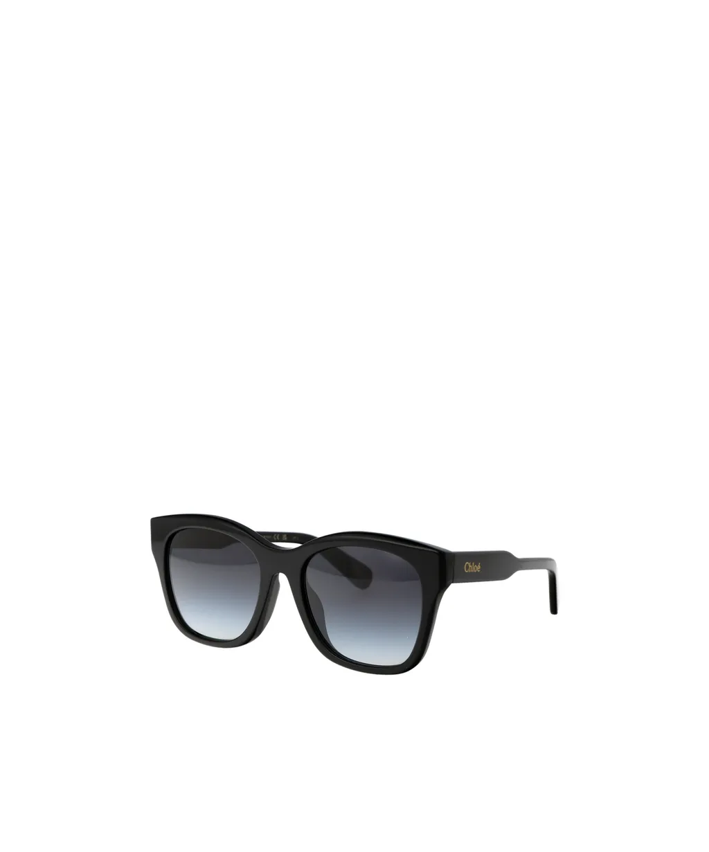 Square Frame Sunglasses
