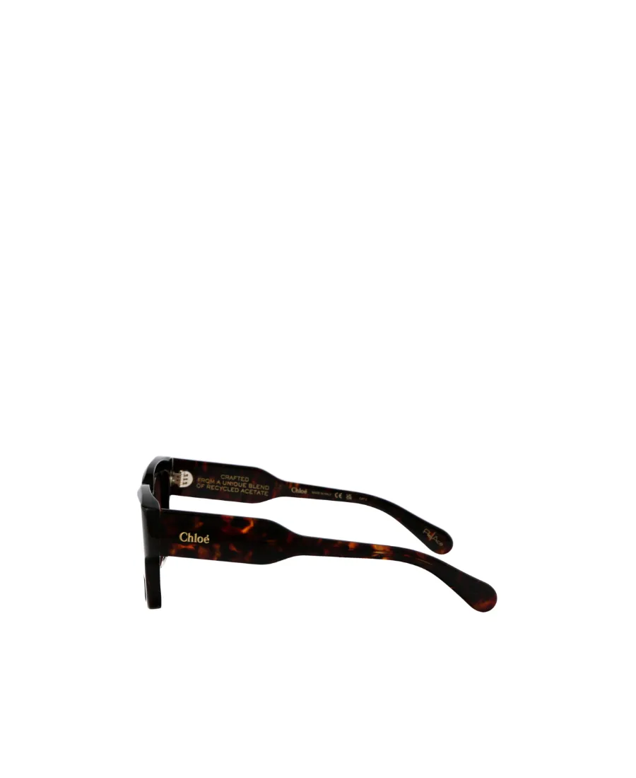 Square Frame Sunglasses