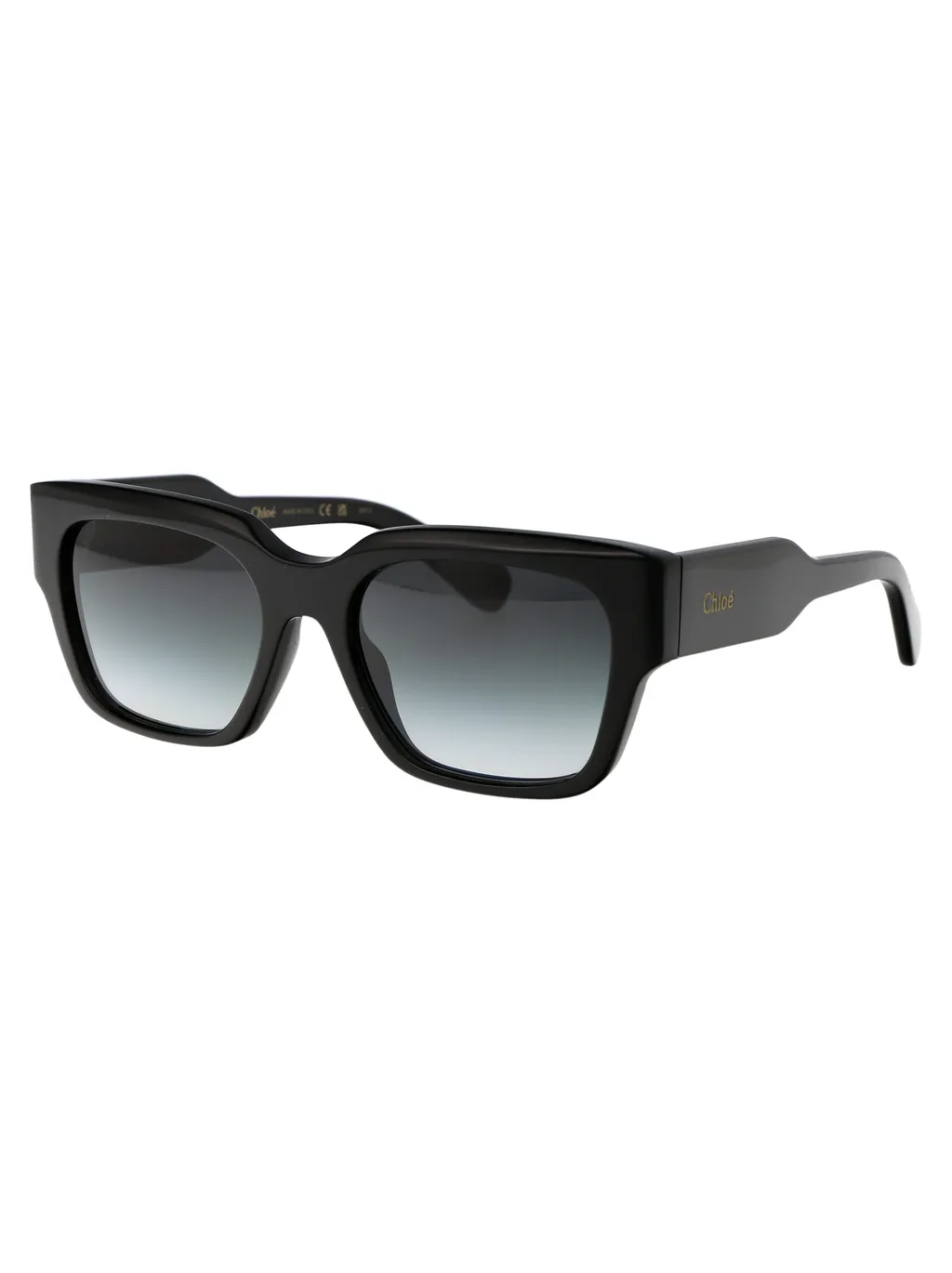 Square Frame Sunglasses