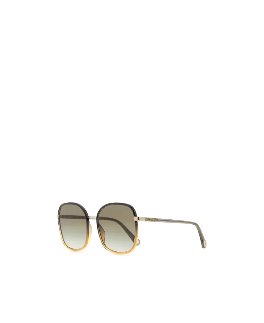Square Frame Sunglasses