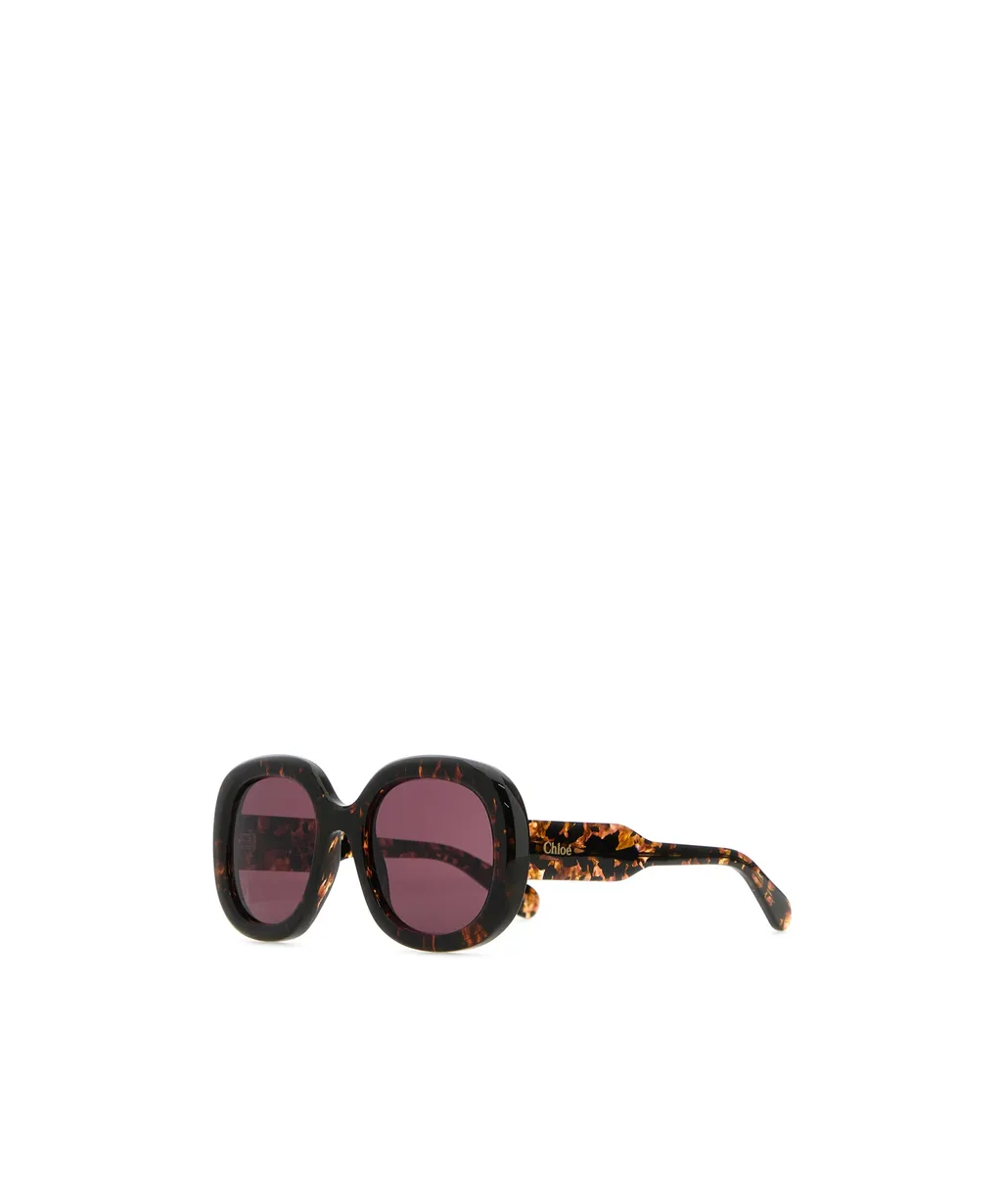 Square Frame Sunglasses