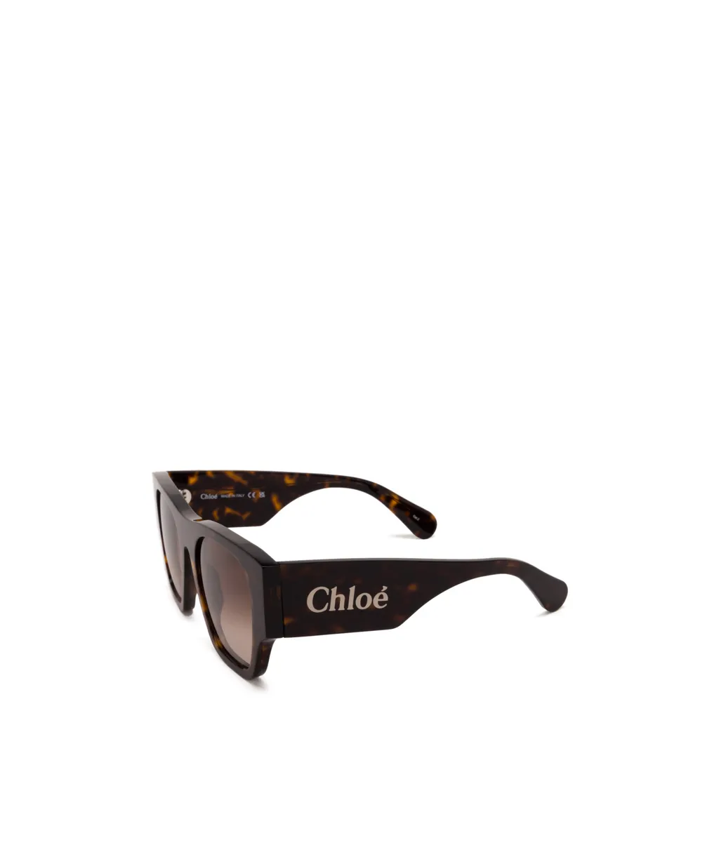 Oversized Square-Frame Sunglasses
