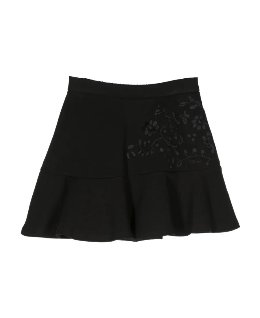 Floral Embroidered Pleated Skirt