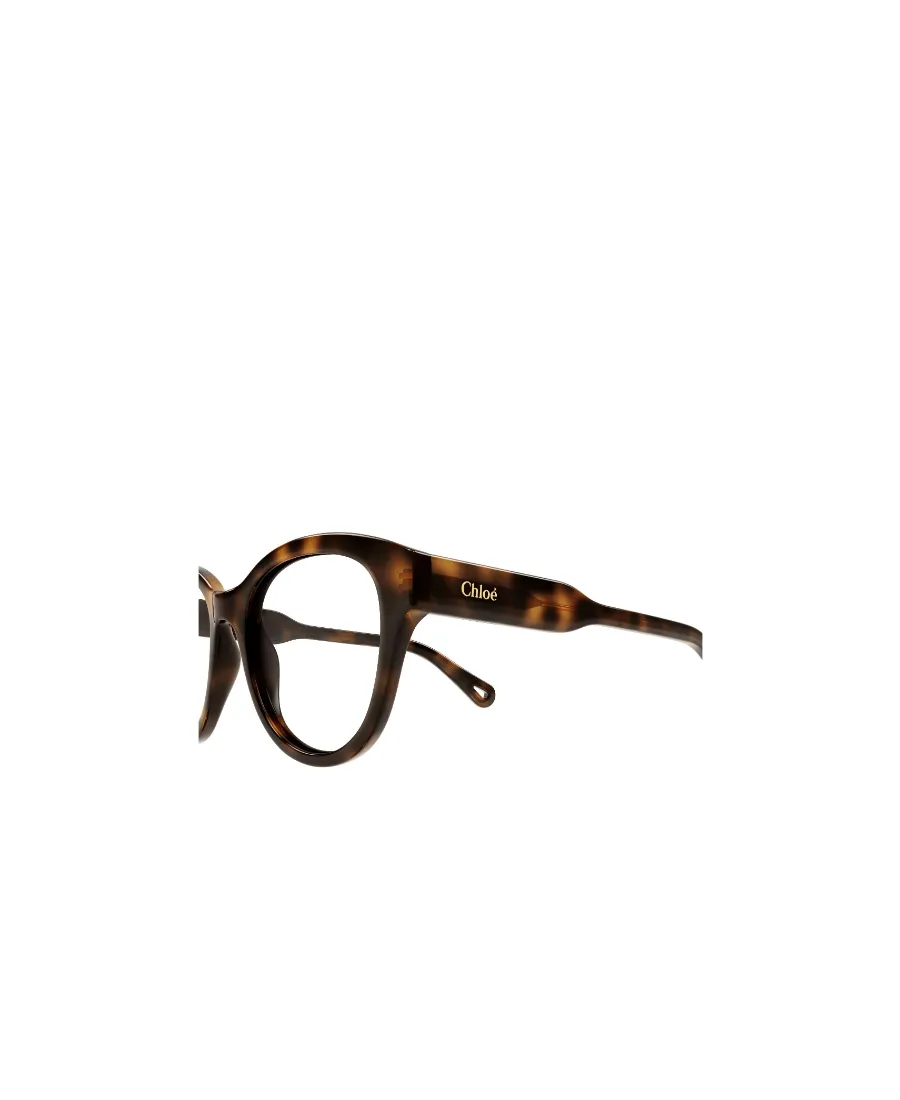 Rectangular Frame Glasses