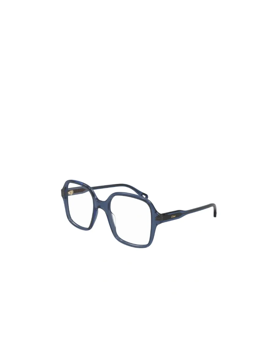 Oversized Frame Glasses