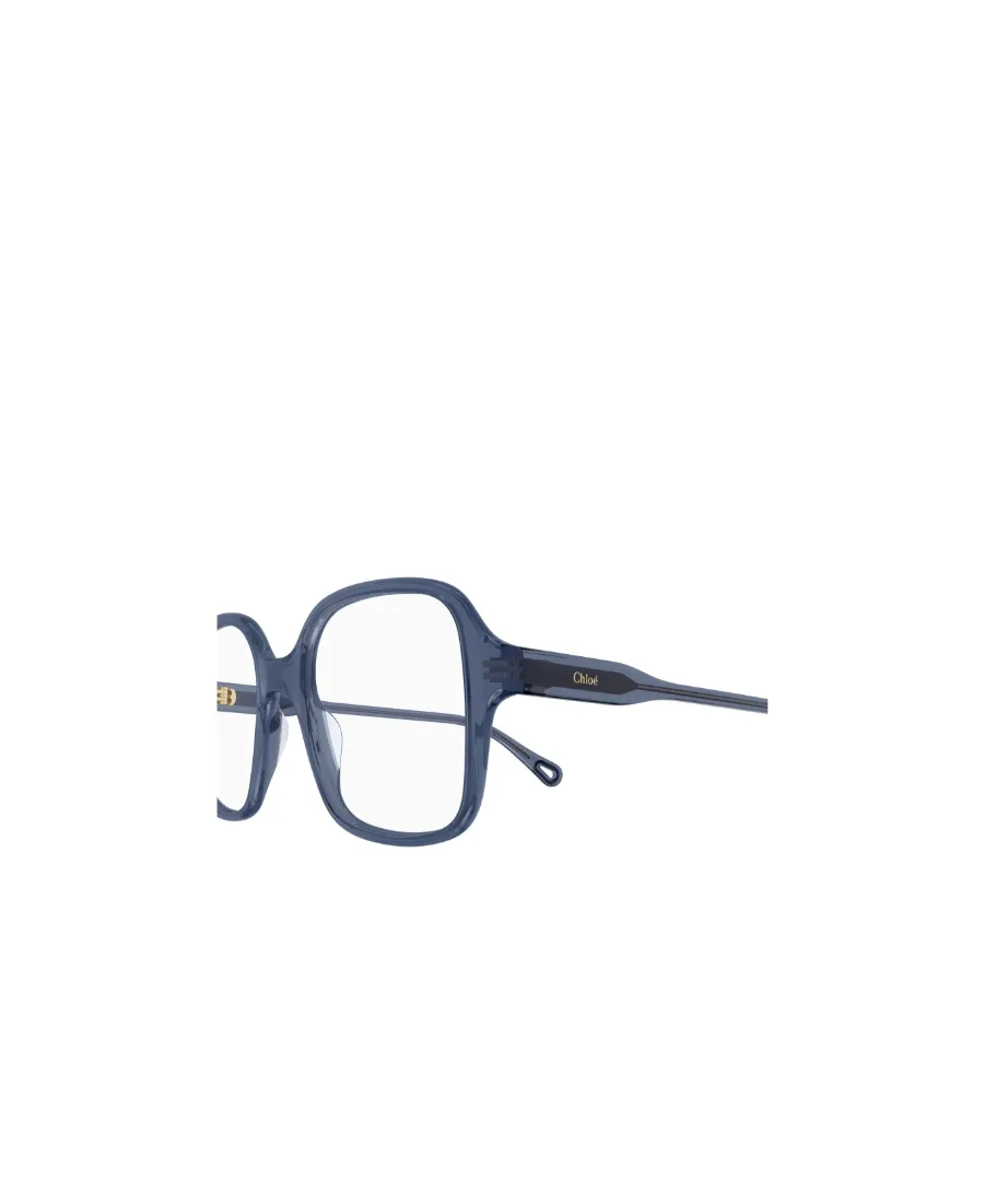 Oversized Frame Glasses