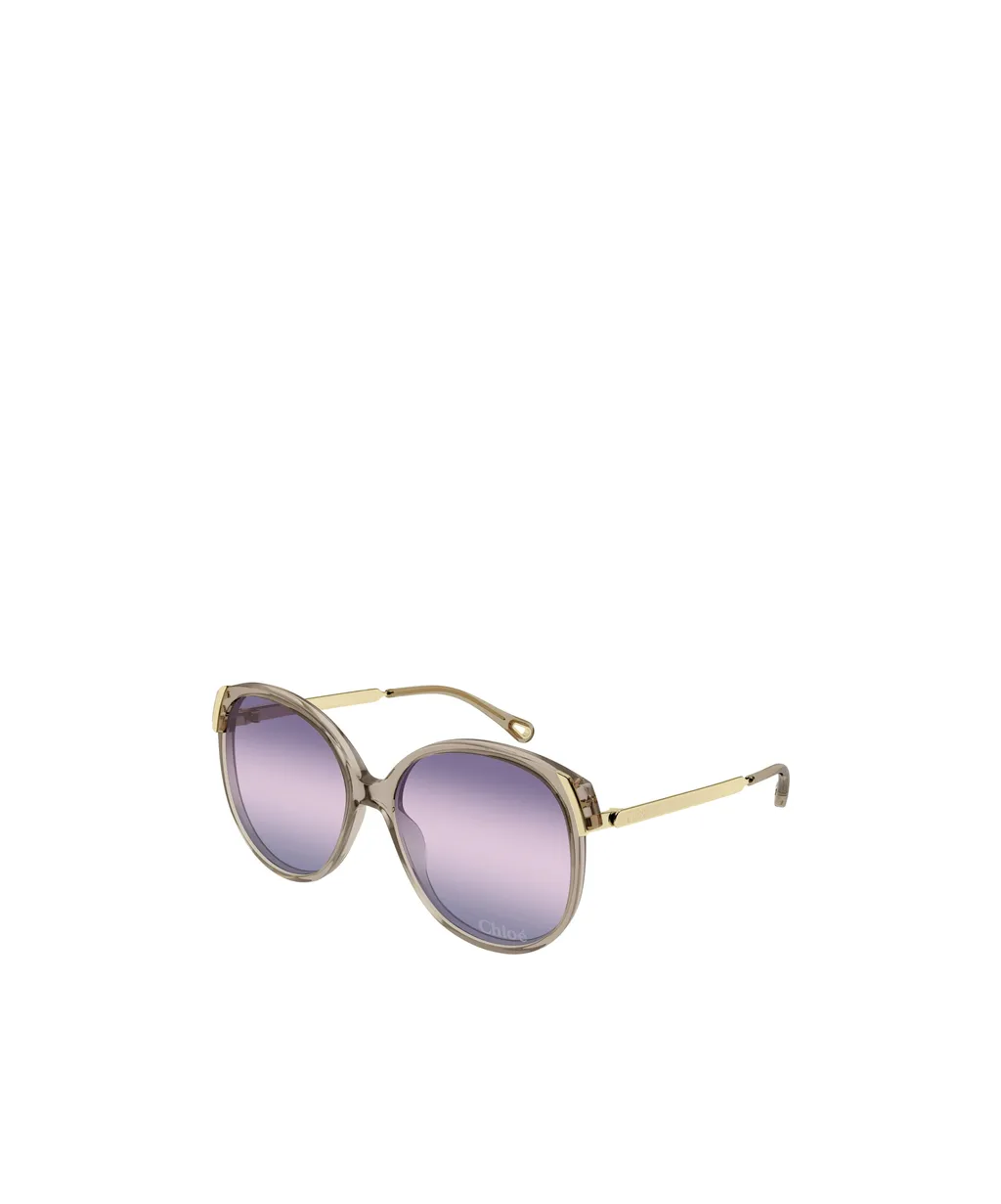 Oval Frame Sunglasses