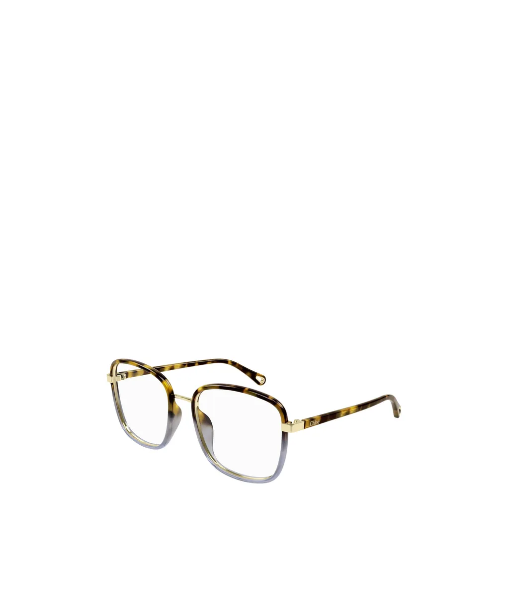Square Frame Glasses