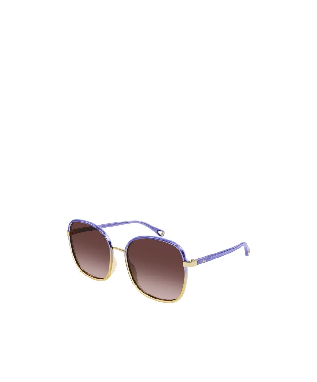 Square Frame Sunglasses