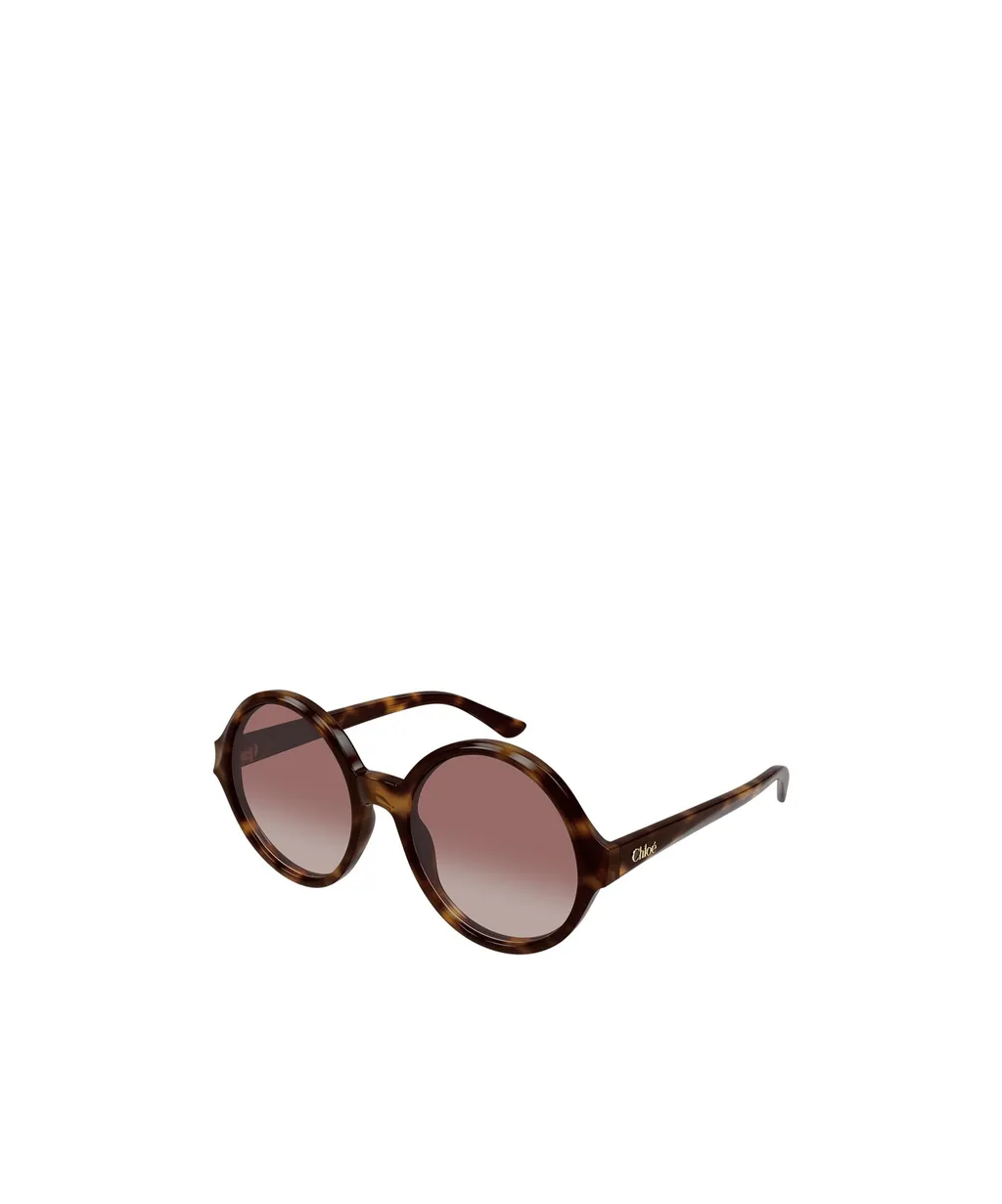 Round Frame Sunglasses