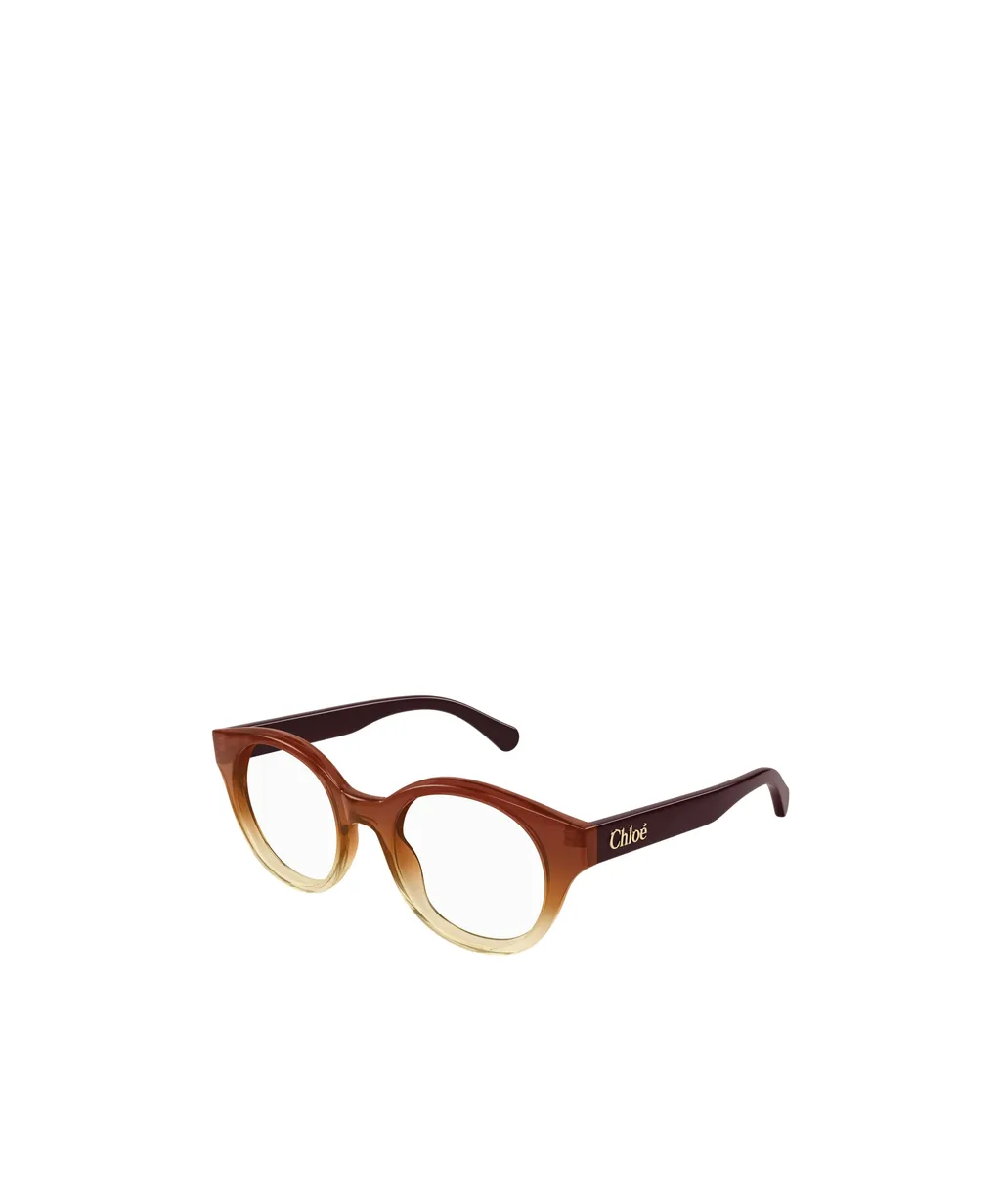 Oval Frame Glasses