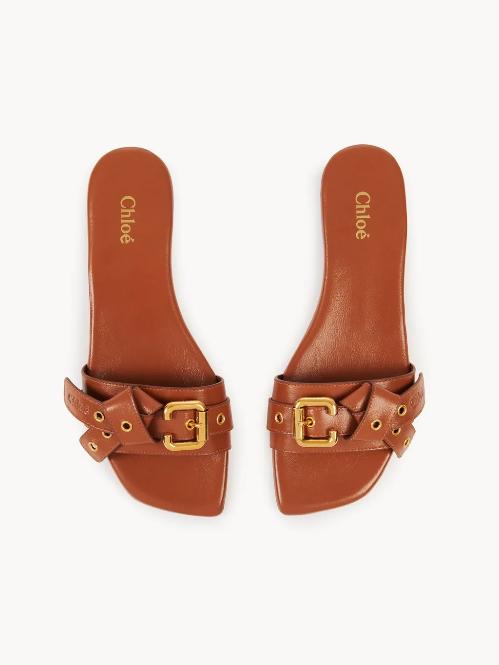 Mae Knot-Detailed Slides