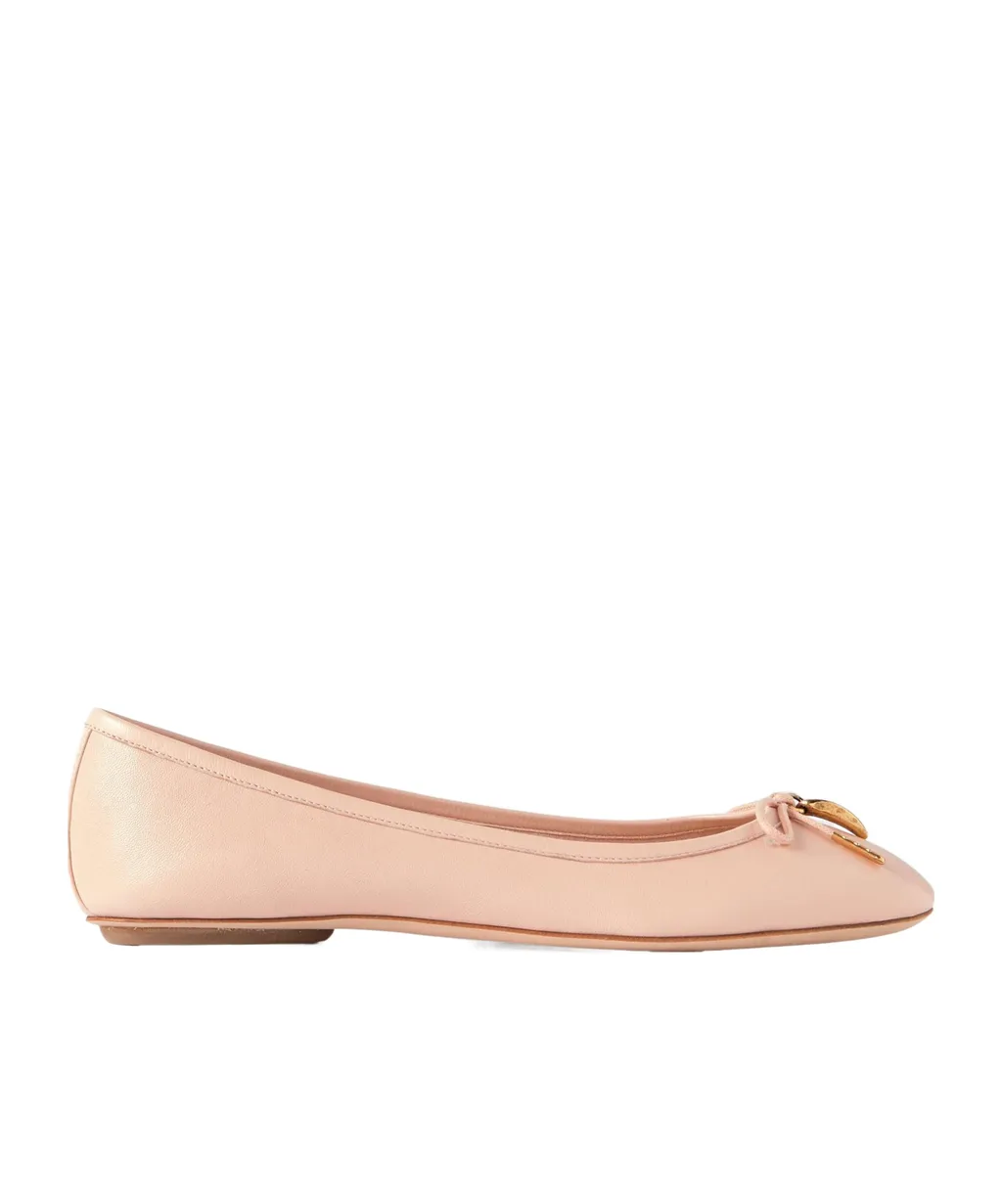Iris Ballerina Shoes