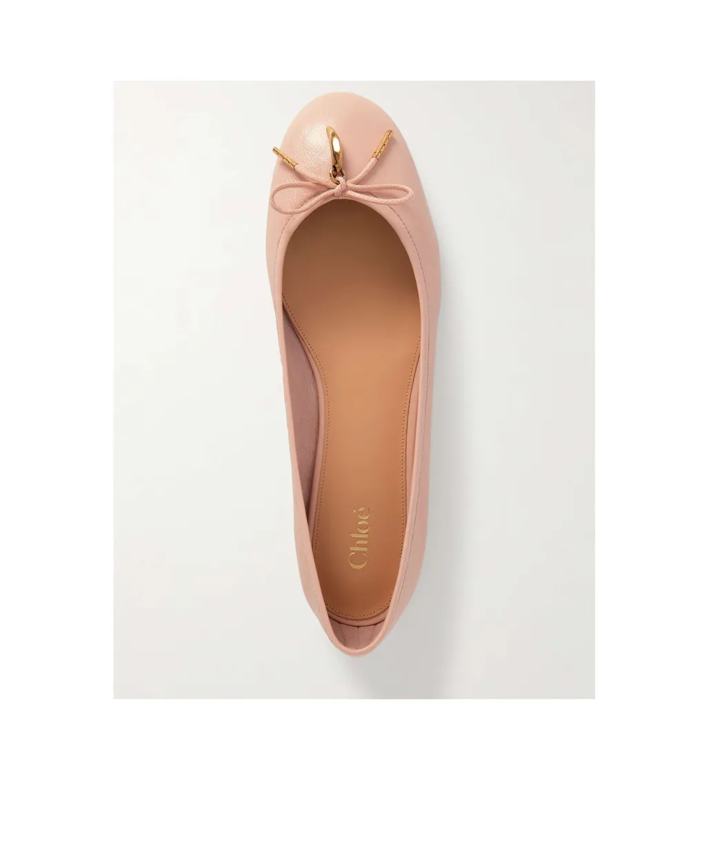 Iris Ballerina Shoes