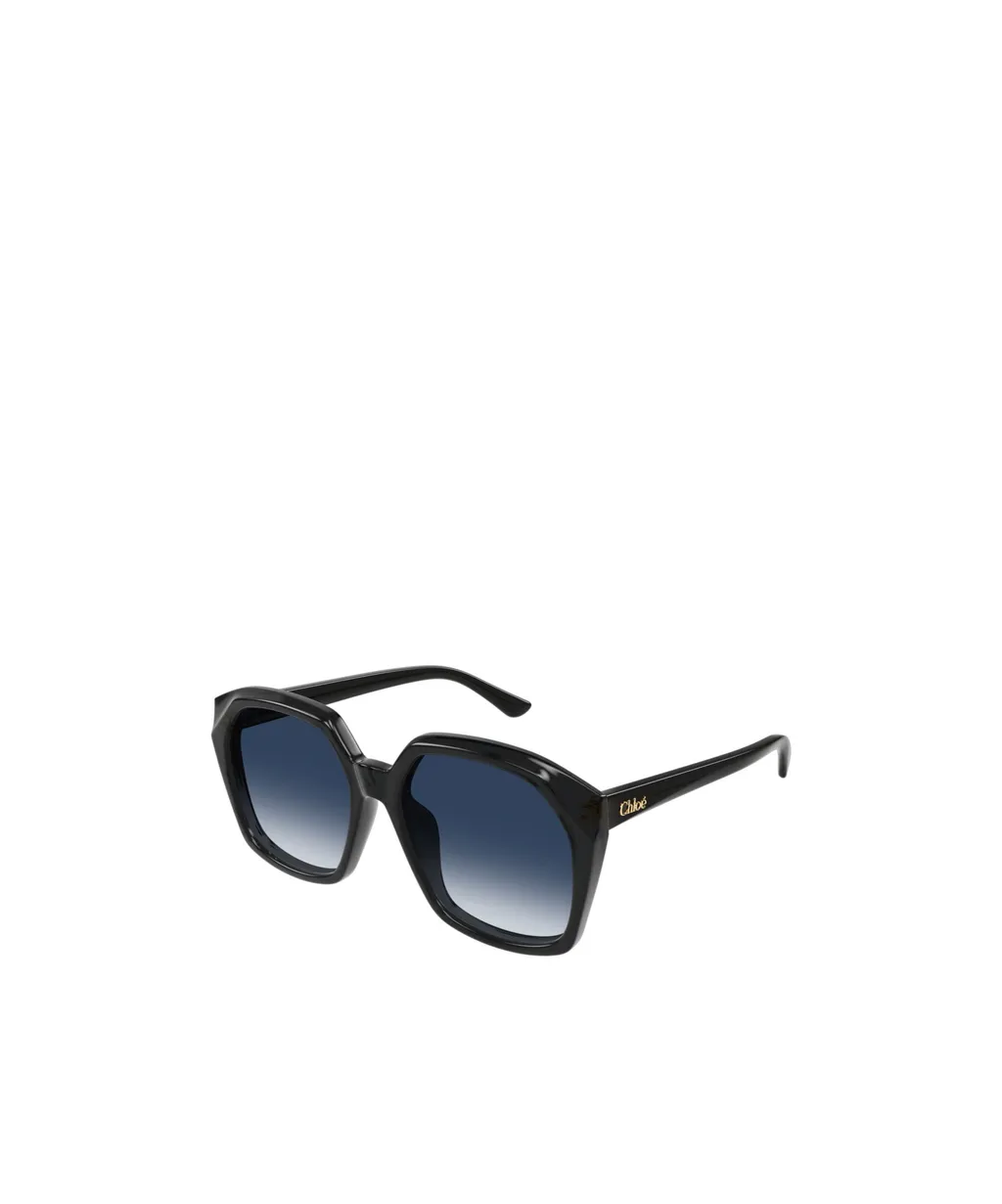 Salome Oversized Frame Sunglasses