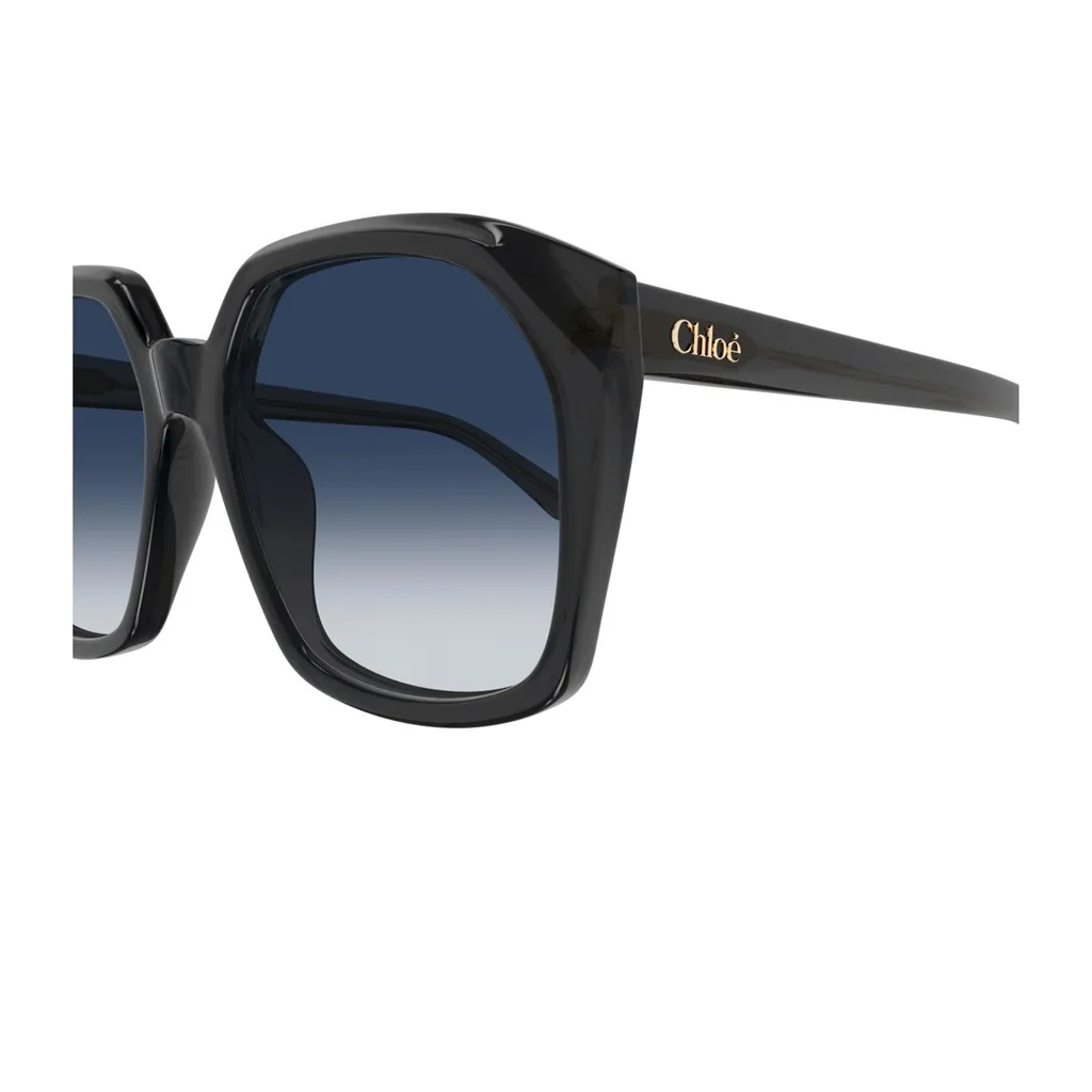 Salome Oversized Frame Sunglasses
