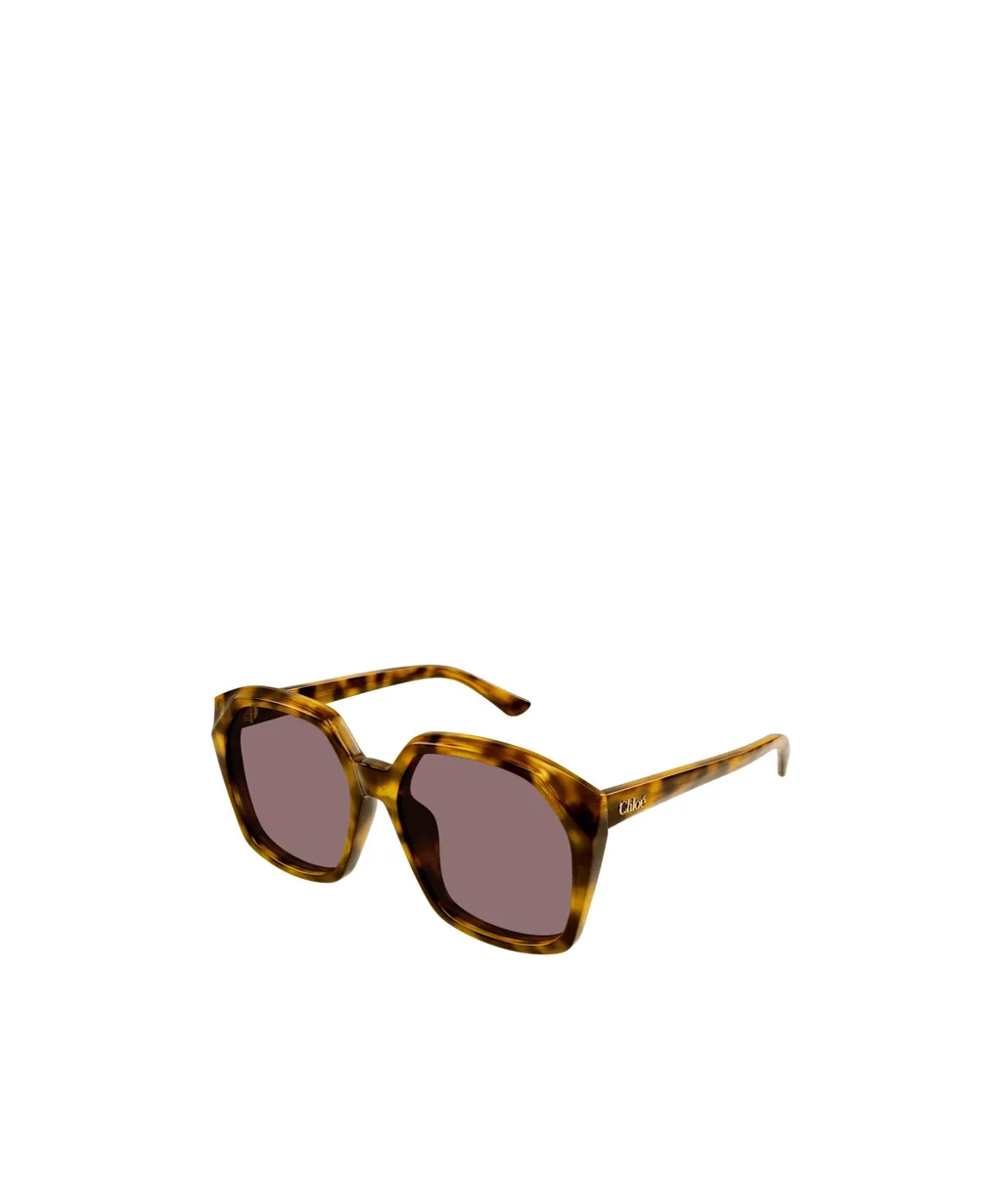 Salome Oversized Frame Sunglasses