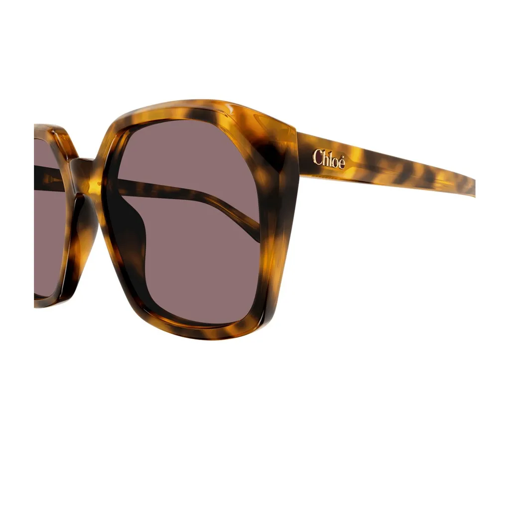 Salome Oversized Frame Sunglasses