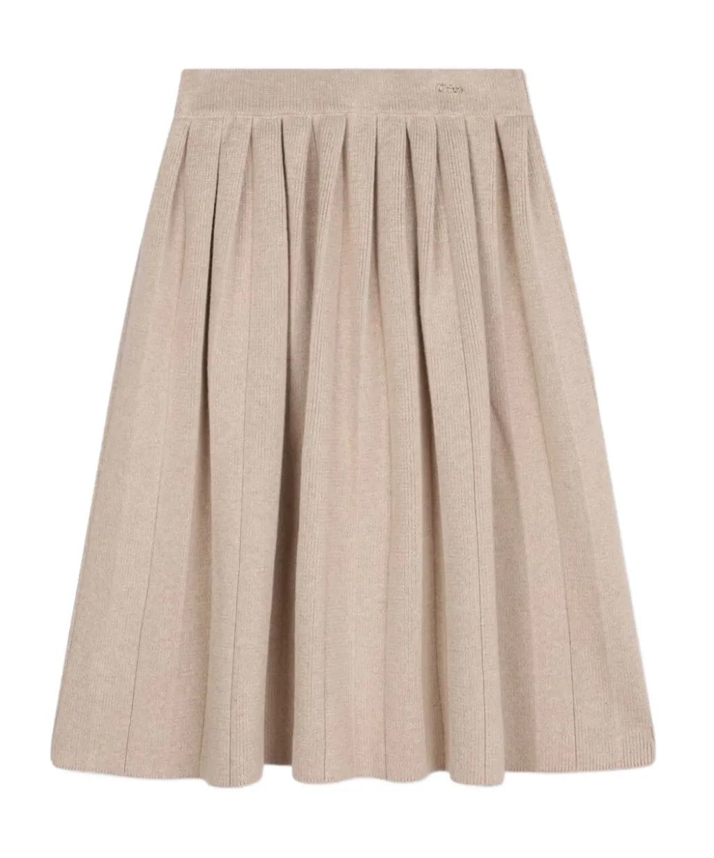 Pleated Skirt