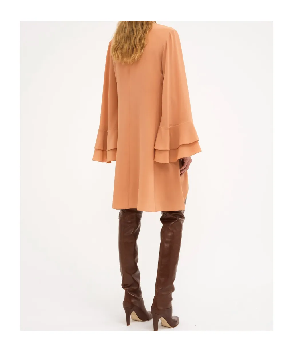 Ruffle Sleeved Dress