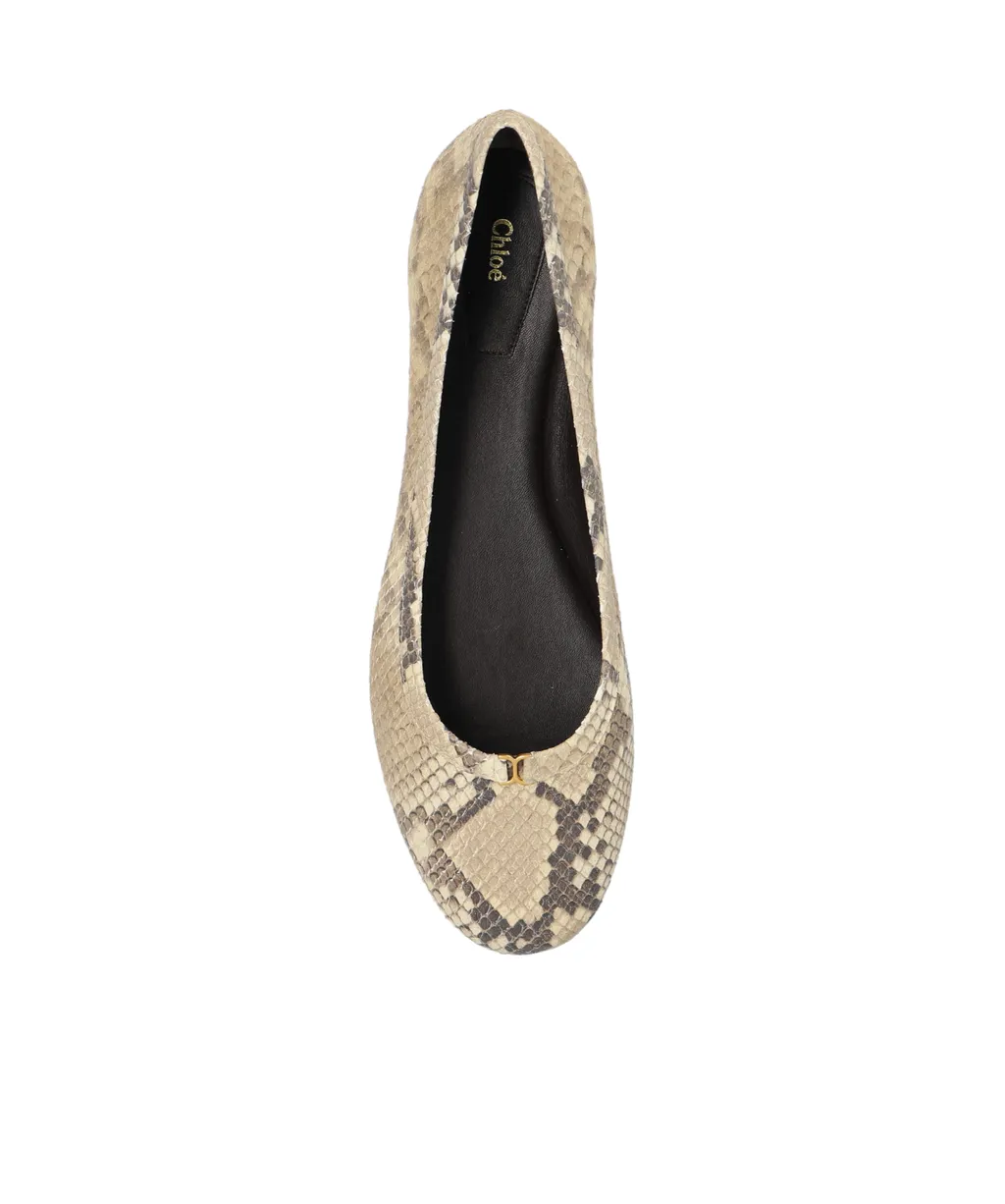 Marcie Python-Print Ballerina Flats