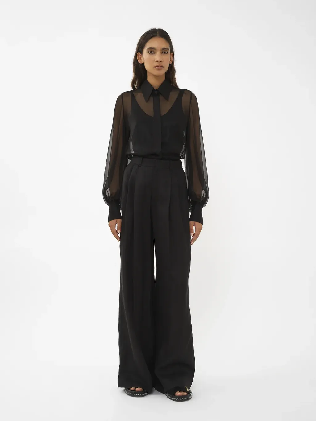 Long Sleeve Shirt With Pleated Sleeves