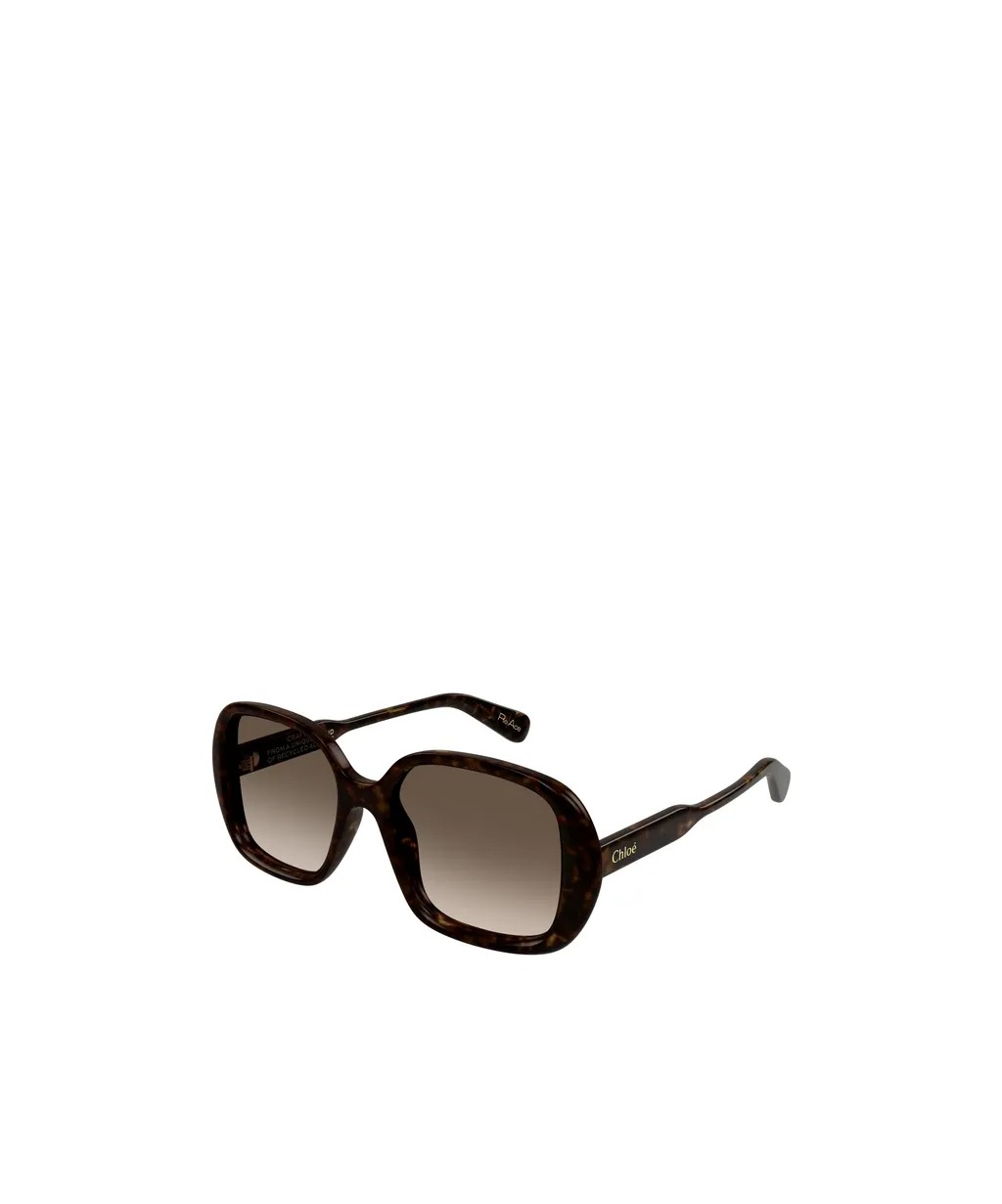 Square-Frame Sunglasses